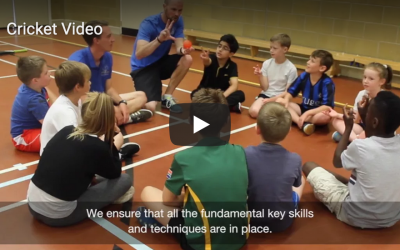 Now that’s cricket!